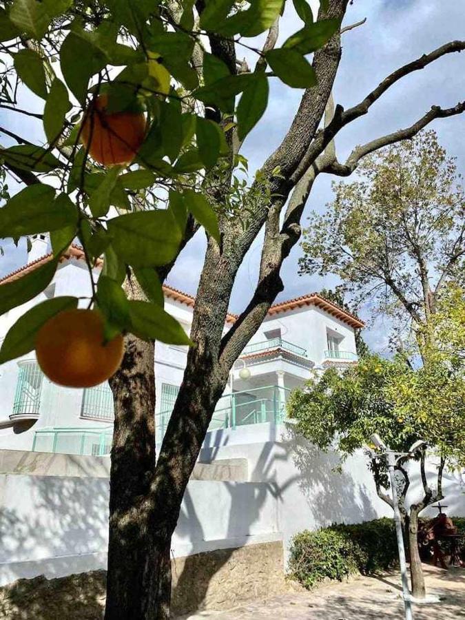 Nuevo Los Almendros 202 Complejo Turistico Daire Córdoba Dış mekan fotoğraf